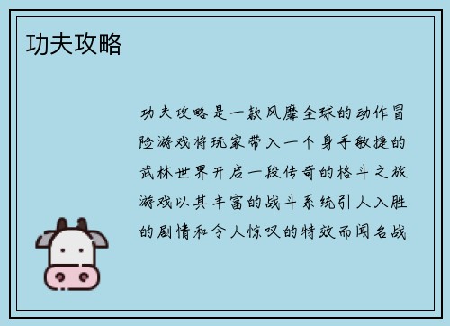 功夫攻略