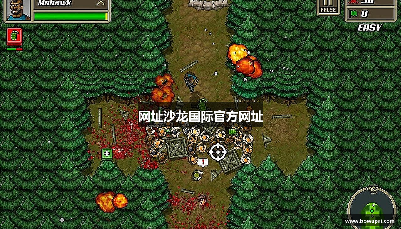 网址沙龙国际官方网址